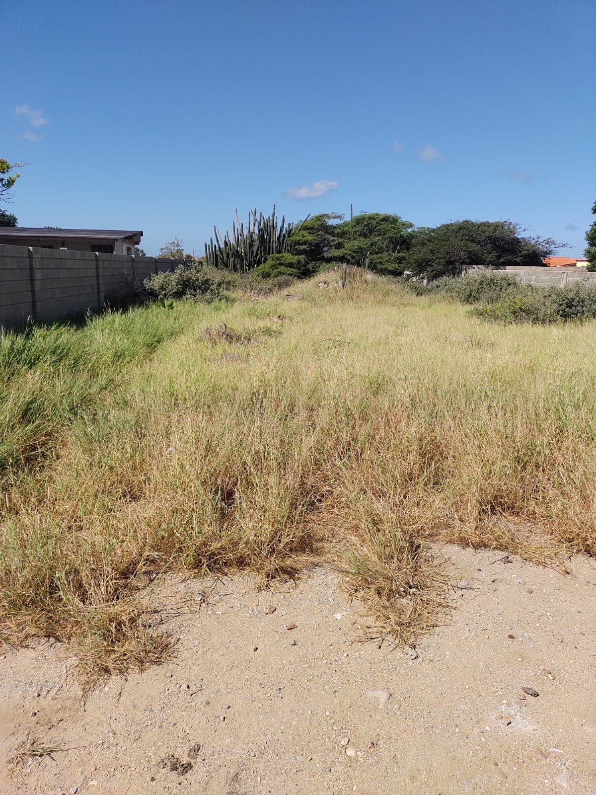 Property Land (Eigendom) located at Tanki Leendert Aruba